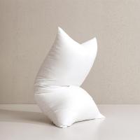 水星家纺（MERCURY） 思梦抗菌对枕 130552 48cm×74cm×2 (单位:对)