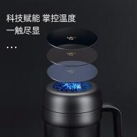 富光（FUGUANG）316不锈钢 智能显温保温杯  580ml 颜色随机（单位：个）