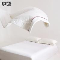 伊伊爱 YDLJD25009 日式纯色简约水洗棉被 200*230cm 6斤（单位：条）白色