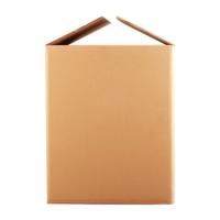 伏兴 FX101  收纳箱 50*35*30cm 黄色（单位：组）