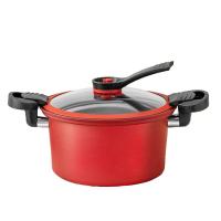 艾姆德（EMUND） DG-WY22 金色年华微压锅 22cm (单位:个)