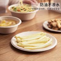 茶花（CHAHUA）G09017 一次性环保纸盘 205mm 24枚/包（单位：包）