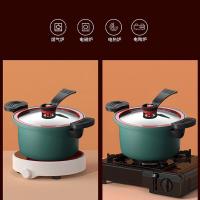艾逸瑶选 CJ-21010 巴尔加斯复古绿微压锅 24cm 新旧包装随机发货 (单位:台)