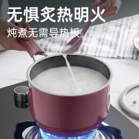 炊大皇 珐琅搪瓷汤锅 0涂层家用炖锅 TG22NW 22cm 1个/箱 (单位:个)