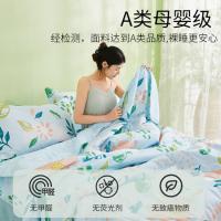 恒源祥（HYX） 春游柔软夏被 抗菌 HYX315BZ 200*230cm (单位:床)