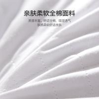 恒源祥（HYX） 养生荞麦枕芯 单个可脱卸升级款 HYZT02 48*74cm 15只/箱 (单位:只) 新老包装随机发货 白色