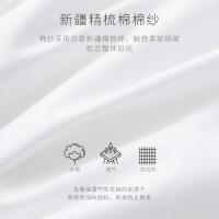 康尔馨 舒梦 纤维枕芯 48*74cm (单位:只) 新老包装随机发货