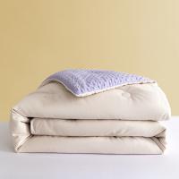大嘴猴（Paul Frank） 薰衣草悠然被 PFFCS230064U 200*230cm (单位:床)