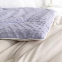大嘴猴（Paul Frank） 薰衣草悠然被 PFFCS230064U 200*230cm (单位:床)
