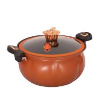 百斯克 BSK-GF2312-08 宜家多用途南瓜微压锅 28cm （单位:个）