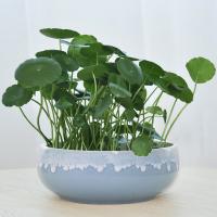 奥美优 蓝流釉 水仙花盆 15.8*11.4*6.3cm(单位：个)