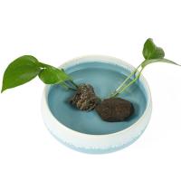 奥美优 蓝流釉 水仙花盆 15.8*11.4*6.3cm(单位：个)