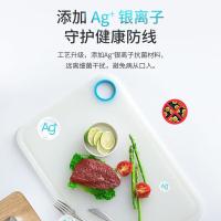 茶花（CHAHUA）024004 抗菌砧板 44*30cm （单位：个）