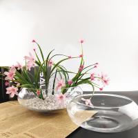 奥美优 透明玻璃 水仙花盆 10*24.5cm(单位：个)