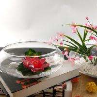 奥美优 透明玻璃 水仙花盆 10*24.5cm(单位：个)