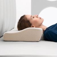 佳奥 竹炭磁布 蝶形慢回弹记忆枕（高枕60*33*11-7cm/低枕60*33*9-7cm）（单位：个）白色