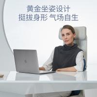 佳奥 热敷腰垫 蝶形靠垫-加热款 42.5*46.5*12.5 藏青色（单位：个）