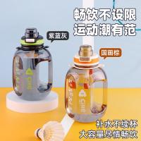 希乐（cille） XL-2489 轻氧健身杯 1.2L(单位：个) 国画棕/艳紫/迪卡蓝/紫蓝灰