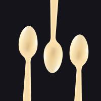 芳草地 3G5744*5 一次性勺子 12支装*5包/组 (单位:组)