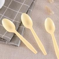 芳草地 3G5744*5 一次性勺子 12支装*5包/组 (单位:组)