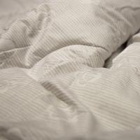 金丝莉（KINTHERI） 沁心暖暖被 JB-2388 200*230cm (单位:床)