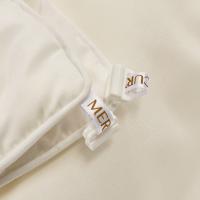 水星家纺（MERCURY） 臻芯丝语蚕丝羊毛子母被 四季被 200*230cm (单位:床)