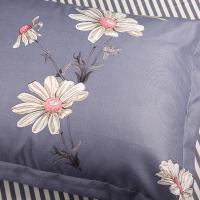 天琴（TISEN） TQ-T112 采花蜜 柔丝棉四件套 被套200*230cm(单位：套)