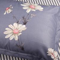 天琴（TISEN）TQ-T112 采花蜜柔丝棉床上用品四件套 床单230cm*250cm 被罩200*230cm 枕套48cm*74cm*2（单位：套）
