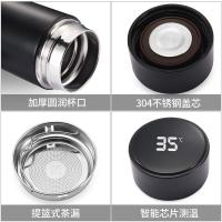 艾逸瑶选 CJ-21045 骑士智能温显杯 480ML （单位：个） 黑色