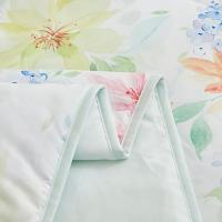 恒源祥（HYX） 花开静好 A类抗菌柔软夏凉被 160*210cm (单位:条)