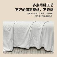 奥特佳（ORTEGA） 001-020205 提花蚕丝被 150*200cm （单位：床） 白色