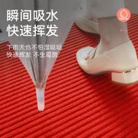 大江 6939252976686 地垫 60*90cm（单位：张）红色