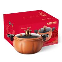 贝格帝 BGD-DZG02 南瓜真空炖煮锅 直径26cm（单位：个）颜色随机