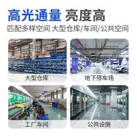 欧普照明（OPPLE）LED灯管 双端接电T8高光效 10W-600mm白光（单位：根）