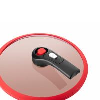 德世朗 DFS-T833A-RD 珐琅微压营养锅 6.5L容量 （单位：件） 红色