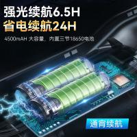 神火（supfire） RX30-A 手提灯 15W 白光 强光 长续航（单位：个）