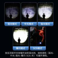 神火（supfire） RX30-A 手提灯 15W 白光 强光 长续航（单位：个）
