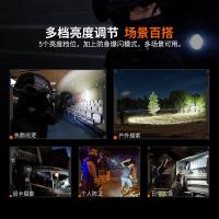 菲尼克斯（FENIX） TK20R V2.0 手电筒 3000流明475米 曜石黑（单位：个）