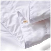 富安娜（fuanna）沁雅 蚕丝被 适用1.5米床 203*229cm 400g（单位：床）白色