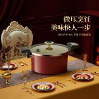 火象（Fire elephants） HXG-YZ008 海洋之心珐琅微压锅 26cm（单位：个）酒红色