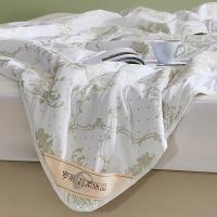 罗莱家纺（LUOLAI） 七孔纤维 夏被 200*230cm(单位：床)