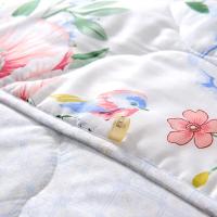 富安娜（fuanna）  巧若芙蓉 七孔抗菌印花夏被 152*210cm（250g）（单位：床）
