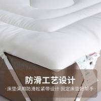 恒源祥（HYX） HYCD28 亲肤抑菌棉花床垫 150*200cm （单位：条)
