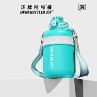 吨吨（BOTTLED JOY） D15 保温杯 暖吨吨 新老包装随机 1L （单位:个） 灰白磨砂