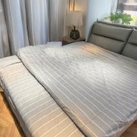 金丝莉（KINTHERI） HHDZ-0016 简约四件套 被套200*230cm+床单230*250cm+枕套48*74cm*2（单位：套）