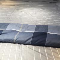 金丝莉（KINTHERI） HHDZ-0016 简约四件套 被套200*230cm+床单230*250cm+枕套48*74cm*2（单位：套）