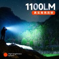 飞利浦（PHILIPS） SFL5113 手电筒 20W 黑色（单位：个）