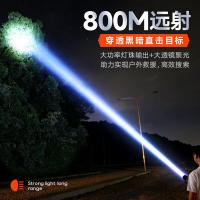 飞利浦（PHILIPS） SFL5113 手电筒 20W 黑色（单位：个）