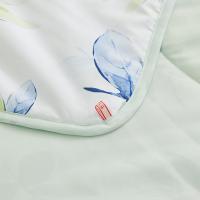 恒源祥（HYX） A类抗菌柔软夏凉被 雅致叶绿 160*210cm (单位:条)