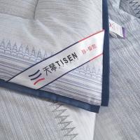 天琴（TISEN） TQ-B069 风尚保暖被 200*230cm (单位：条）